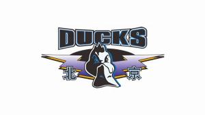 开云体育-媒体人：北京队第3外援的选择更倾向于二三号位